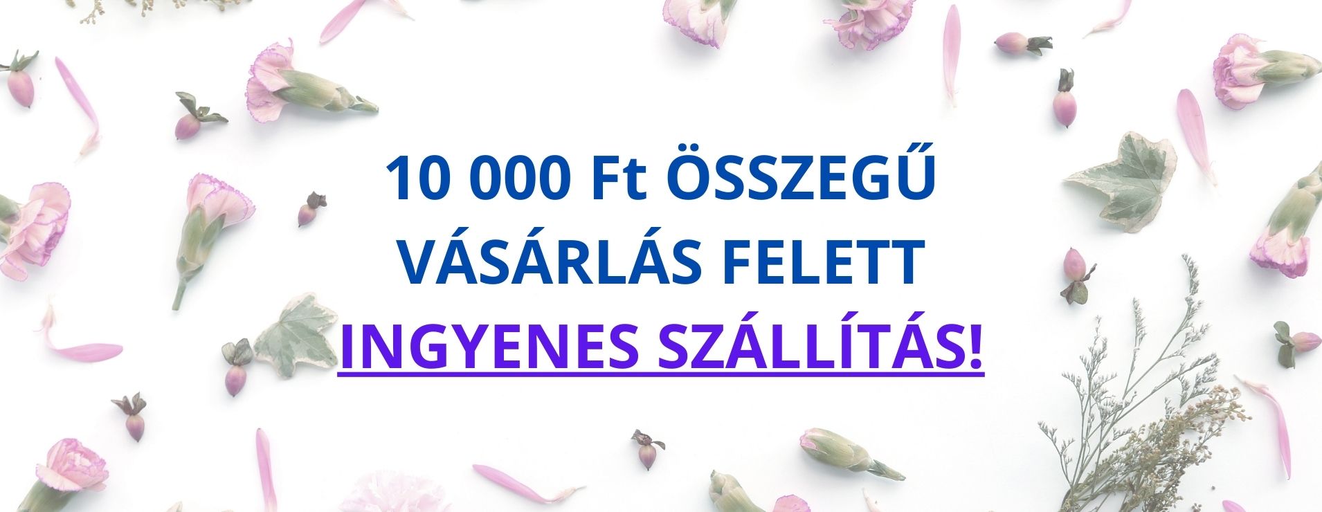 elliszappan